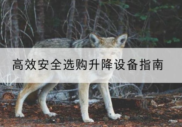 改则升降货梯厂家推荐-*安全选购升降设备指南