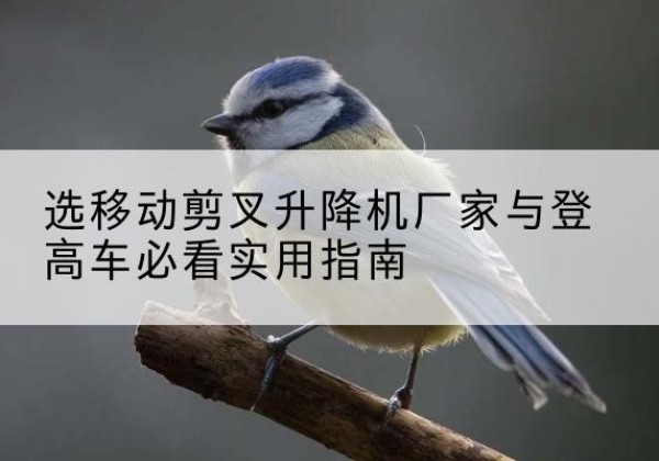 改则电动升降机厂家-选移动剪叉升降机厂家与登高车必看实用指南