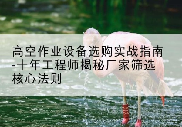 改则剪叉式升降机厂家-高空作业设备选购实战指南-十年工程师揭秘厂家筛选核心法则